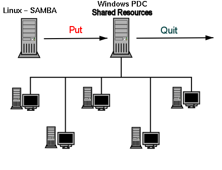 Network-Schema