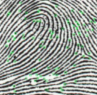 Image fingerprint.png