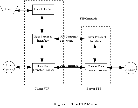 Figure 1. The FTP model